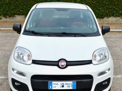 Fiat Panda 1.2 Autocarro 4 Posti Bianco usata Torino