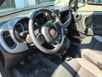 Fiat Panda Fiat Panda 1.0 GSE MHEV City Life #11058 Bianco usata Venaria Reale