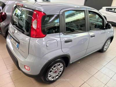 Fiat Panda 1.0 FireFly S&S Hybrid Grigio usata Pesaro