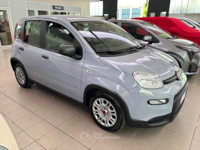 Fiat Panda 1.0 FireFly S&S Hybrid Grigio usata Pesaro