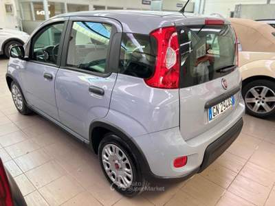 Fiat Panda 1.0 FireFly S&S Hybrid Grigio usata Pesaro