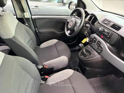 Fiat Panda 1.0 FireFly S&S Hybrid Grigio usata Pesaro