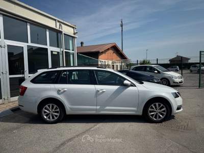 Skoda Octavia 1.6 TDI SCR 115 CV Wagon Executive Bianco usata Cuneo