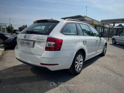 Skoda Octavia 1.6 TDI SCR 115 CV Wagon Executive Bianco usata Cuneo