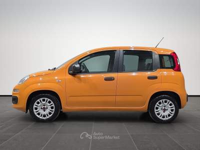 Fiat Panda  1.2 easy 69cv e6 Arancione usata Firenze