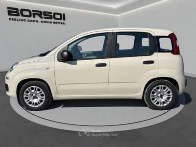 Fiat Panda  - panda 1.2 lounge Beige usata Treviso