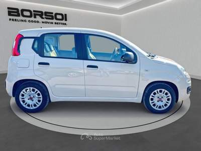 Fiat Panda  - panda 1.2 lounge Beige usata Treviso