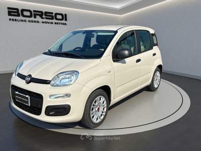 Fiat Panda  - panda 1.2 lounge Beige usata Treviso