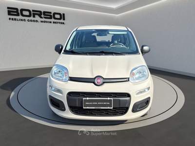 Fiat Panda  - panda 1.2 lounge Beige usata Treviso