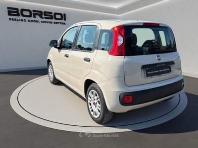 Fiat Panda  - panda 1.2 lounge Beige usata Treviso