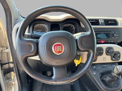 Fiat Panda  - panda 1.2 lounge Beige usata Treviso
