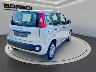 Fiat Panda  - panda 1.2 lounge Beige usata Treviso