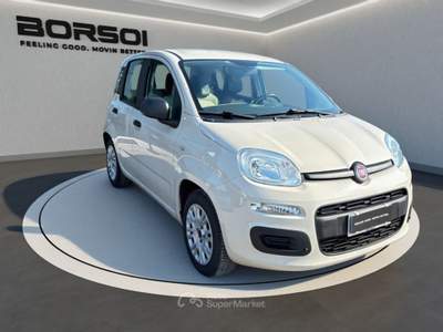 Fiat Panda  - panda 1.2 lounge Beige usata Treviso