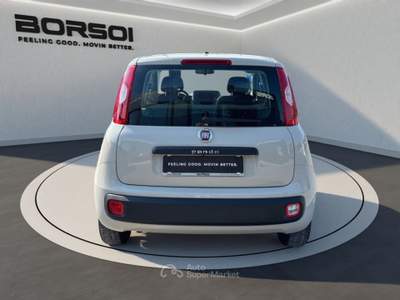 Fiat Panda  - panda 1.2 lounge Beige usata Treviso