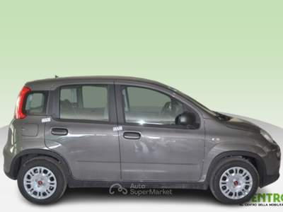 Fiat Panda - my22 1.0 70cv hybrid panda usata CAGLIARI