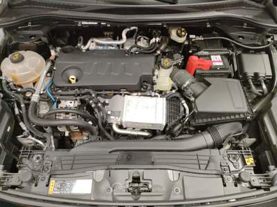 Ford Kuga  - kuga 2.0 ecoblue 120cv aut. awd st-line x Nero usata Civitanova Marche