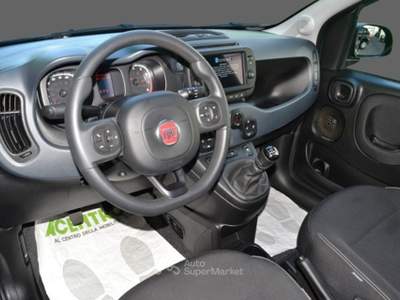 Fiat Panda - my24 1.0 70cv hybrid cross Verde usata CAGLIARI