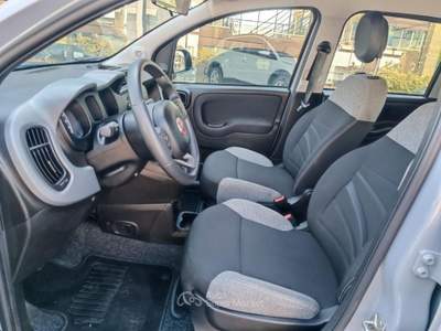 Fiat Panda 1.0 FireFly S&S Hybrid City Life Grigio usata Castelfranco di Sotto