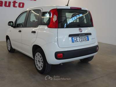 Fiat Panda 1.0 GSE S&S Hybrid Easy Van 4 posti ( + IVA) Bianco usata San Vito dei Normanni