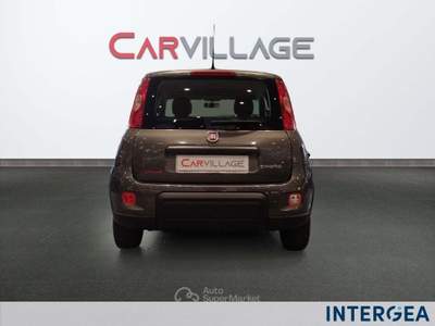 Fiat Panda Panda 1.0 firefly hybrid s&s 70cv Grigio usata Sesto Fiorentino