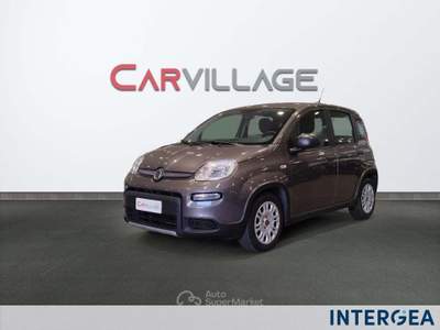 Fiat Panda Panda 1.0 firefly hybrid s&s 70cv Grigio usata Sesto Fiorentino