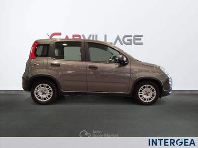 Fiat Panda Panda 1.0 firefly hybrid s&s 70cv Grigio usata Sesto Fiorentino