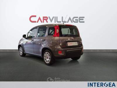 Fiat Panda Panda 1.0 firefly hybrid s&s 70cv Grigio usata Sesto Fiorentino