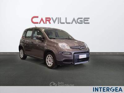 Fiat Panda Panda 1.0 firefly hybrid s&s 70cv Grigio usata Sesto Fiorentino