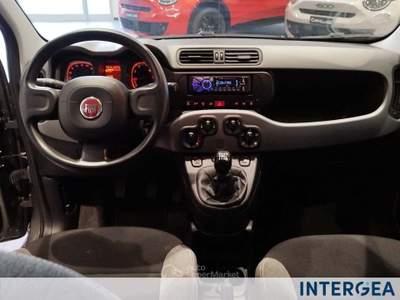 Fiat Panda Panda 1.0 firefly hybrid s&s 70cv Grigio usata Sesto Fiorentino