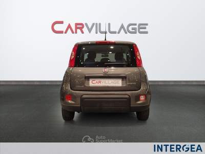 Fiat Panda Panda 1.0 firefly hybrid s&s 70cv 5p.ti Grigio usata Sesto Fiorentino
