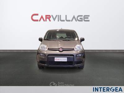 Fiat Panda Panda 1.0 firefly hybrid s&s 70cv 5p.ti Grigio usata Sesto Fiorentino