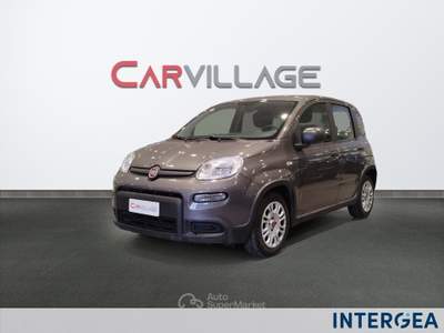 Fiat Panda Panda 1.0 firefly hybrid s&s 70cv 5p.ti Grigio usata Sesto Fiorentino