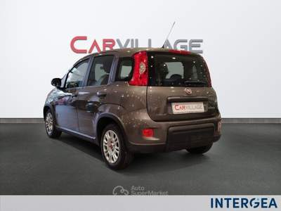 Fiat Panda Panda 1.0 firefly hybrid s&s 70cv 5p.ti Grigio usata Sesto Fiorentino