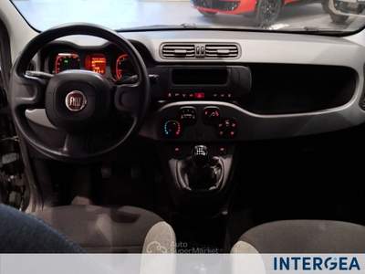 Fiat Panda Panda 1.0 firefly hybrid s&s 70cv 5p.ti Grigio usata Sesto Fiorentino