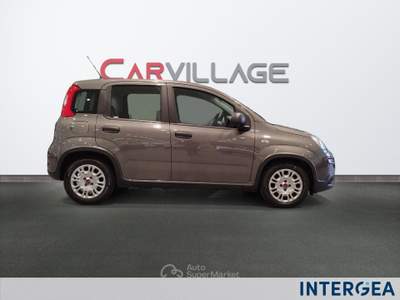 Fiat Panda Panda 1.0 firefly hybrid s&s 70cv 5p.ti Grigio usata Sesto Fiorentino