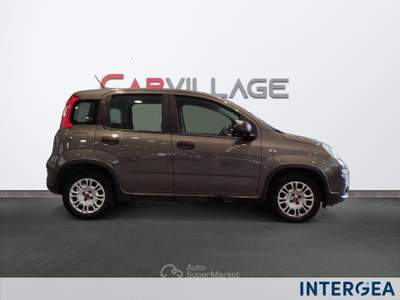 Fiat Panda Panda 1.2 easypower gpl s&s 69cv Grigio usata Sesto Fiorentino