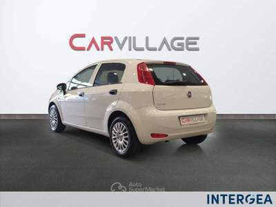 Fiat Punto Punto 8 van 1.3 mjt 16v s&s 95cv 4p.ti 5p e6 Bianco usata Sesto Fiorentino