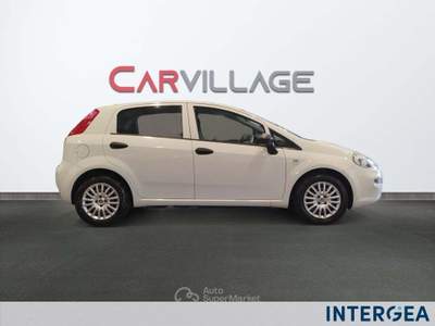 Fiat Punto Punto 8 van 1.3 mjt 16v s&s 95cv 4p.ti 5p e6 Bianco usata Sesto Fiorentino