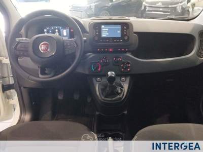 Fiat Panda Pandina 1.0 firefly hybrid icon s&s 65cv 4p.ti Bianco usata Sesto Fiorentino