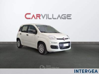 Fiat Panda Pandina 1.0 firefly hybrid icon s&s 65cv 4p.ti Bianco usata Sesto Fiorentino