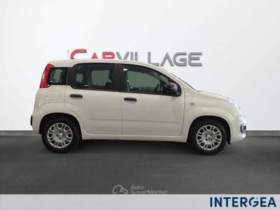Fiat Panda Pandina 1.0 firefly hybrid icon s&s 65cv 4p.ti Bianco usata Sesto Fiorentino