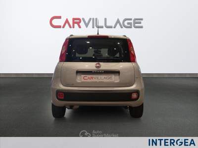 Fiat Panda Panda 1.0 firefly hybrid city life s&s 70cv 5p.ti Grigio usata Sesto Fiorentino