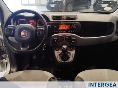 Fiat Panda Panda 1.0 firefly hybrid city life s&s 70cv 5p.ti Grigio usata Sesto Fiorentino