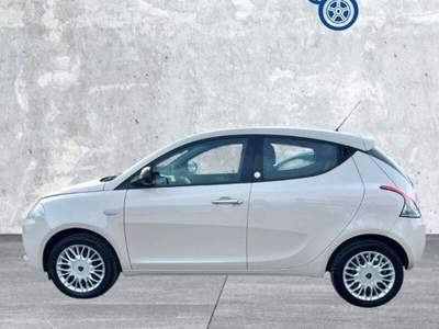 Lancia Ypsilon Ypsilon 1.2 69 CV 5 porte GPL Ecochic Gold usata Laterina