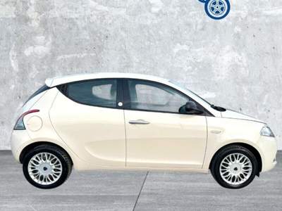 Lancia Ypsilon Ypsilon 1.2 69 CV 5 porte GPL Ecochic Gold usata Laterina