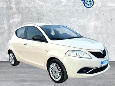 Lancia Ypsilon Ypsilon 1.2 69 CV 5 porte GPL Ecochic Gold usata Laterina