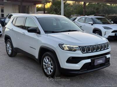 Jeep Compass Compass 1.6 Mjt II 2WD Business Bianco usata San Michele Salentino