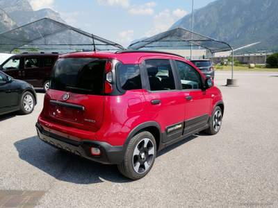 Fiat Panda Panda 1.0 FireFly Hybrid 70CV Pandina Cross VARI COLORI Rosso usata Scurelle