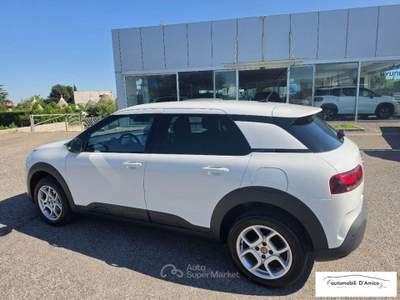 Citroen C4 Cactus BlueHDi 100 S&S Shine Bianco usata Cisternino
