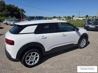 Citroen C4 Cactus BlueHDi 100 S&S Shine Bianco usata Cisternino